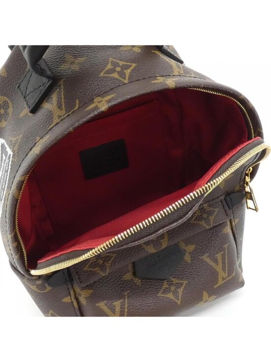 Louis Vuitton Monogram World Tour Palm Springs Backpack Mini